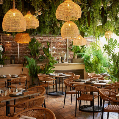 Lunch Al Fresco at Tán