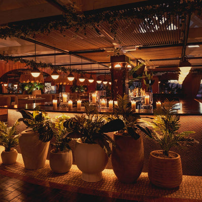 Inside Toro