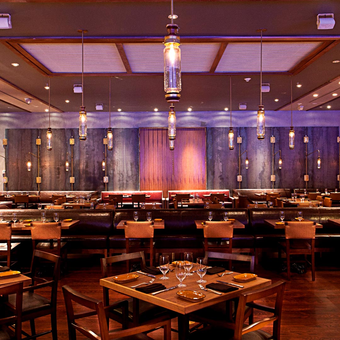Inside Toro Toro