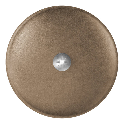 12-Inch Cast Iron Lid - top view